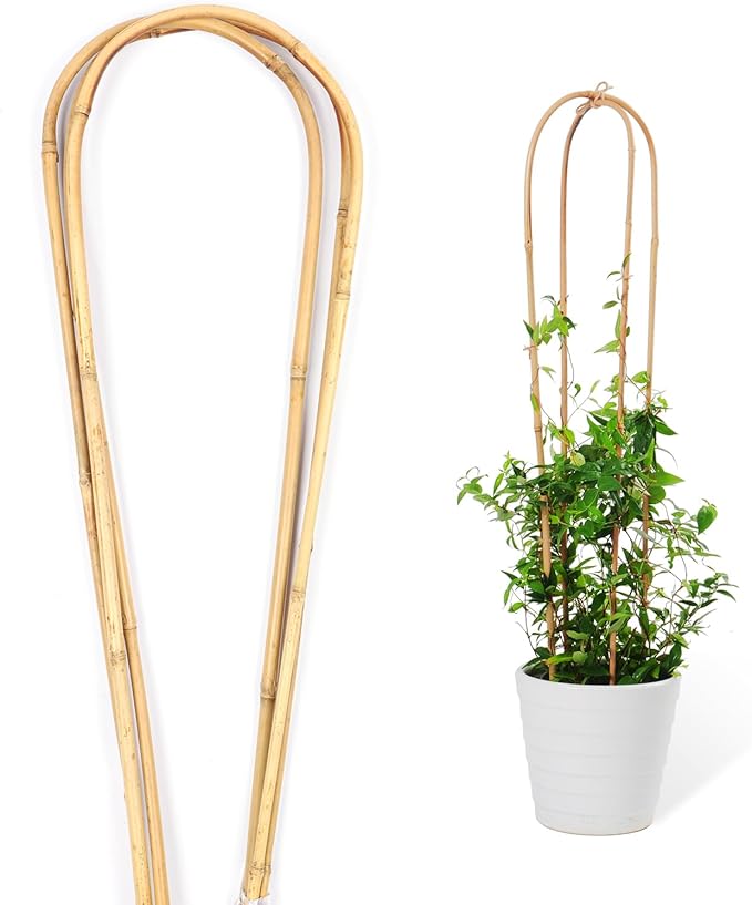 Cambaverd Natural Bamboo Plant Trellis U-Hoop 4 Feet Arch Bamboo Garden Trellis Support for Climbing Plants Outdoor Vines Ivy Plants Climbing Flowers Plant Tower - Pack of 3 Hoops