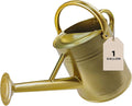 Watering Can for Outdoor&Indoor Plants，1 Gallon Metal Watering Can with with Removable Spout，Galvanized Steel Garden Flower Water Can Plant Watering Pot with 2 Handles，Gold