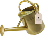 Watering Can for Outdoor&Indoor Plants，1 Gallon Metal Watering Can with with Removable Spout，Galvanized Steel Garden Flower Water Can Plant Watering Pot with 2 Handles，Gold