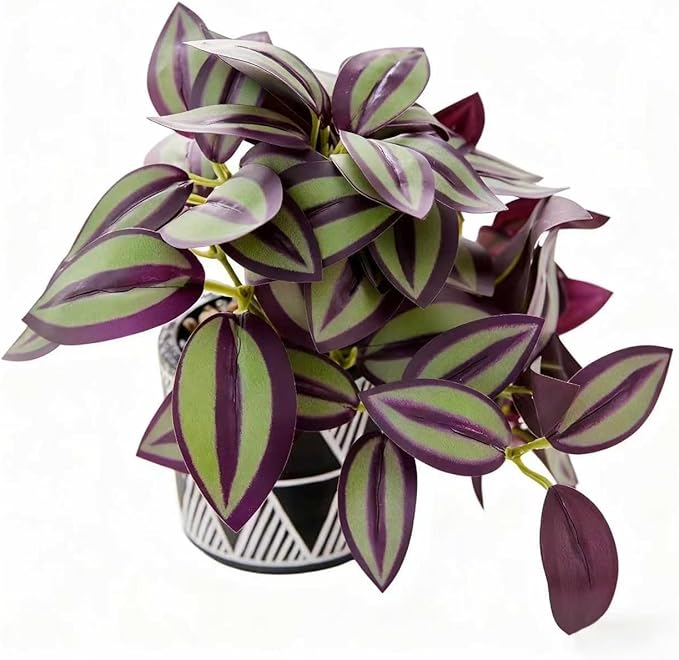 7" Artificial Tradescantia Zebrina Plant in Geometric Ceramic Pot, Lifelike Purple Variegated Vine 8" Wide Faux Indoor Plant for Home Office Desk Shelf Bathroom Decor