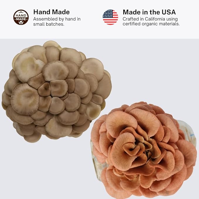 Forest Origins Oyster Mushroom Grow Kit 2-Pack, Pink and Brown Varieties, Harvest in 10 Days, Beginner Friendly, Handmade in California USA, Unique Gift Set