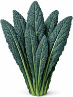 Black Tuscan Lacinato Kale Seeds – Dark Blue-Green Leaves with Upright Growth for Home Gardens, Raised Beds & Containers