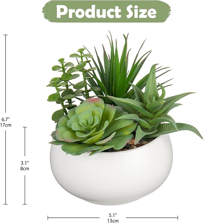 Hollyone Fake Plants Artificial Succulents in Pots Faux Succulent Arrangement Potted Plant with White Ceramic Pot for Home Decor Modern Office Desk Bathroom Shelf Living Room Indoor Decoration