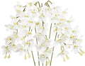 IPOPU White Orchid Artificial Flowers 5 Pcs Real Touch Orchids with Stem for Vase Wedding Party Table Centerpiece DIY Home Office Decor