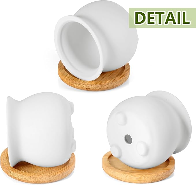 Remerry 12 Pcs 2.5 Inch Mini Succulent Pots with Bamboo Tray White Ceramic Pots Color Your Own DIY Small Planters Containers for Flower Cactus with Drainage Hole for Plant Lover