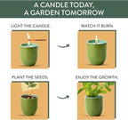 Modern Sprout - 2-in-1 Soy Candle & Planter - 3-Pack Indoor Set (Violet Hour, in The Weeds, Golden Moments) 6 Oz Scented Candles with Lavender, Sage & Mint Seeds – 38–40 Hr Burn Each
