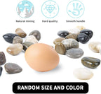 Pebbles Polished Gravel, Natural Polished Mixed Color Stones, 0.5-1.2 inch Small Decorative River Rock Stones 5 Pounds (80-Oz)