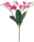 Happyyami Artificial Orchid Branches with Leaves Faux Phalaenopsis Butterfly Orchid Stem Purple Realistic Flower Simulation Plants for Indoor Home Living Room Office Décor