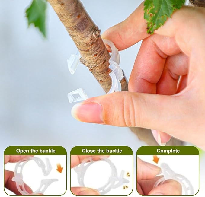 Thickened Plant Fixing Clip 100Pcs, 2025 Summer New Tomato Grape Vine Vegetables Plant Fixing Clips, Upgrade Plant Support Clips Reusable Garden Clips Secured Plastic Plant Clip (100, Black)