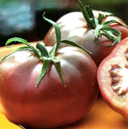 Black Brandywine Heirloom Tomato Seeds - Large Tomato - One of the Most Delicious Tomatoes for Home Growing,