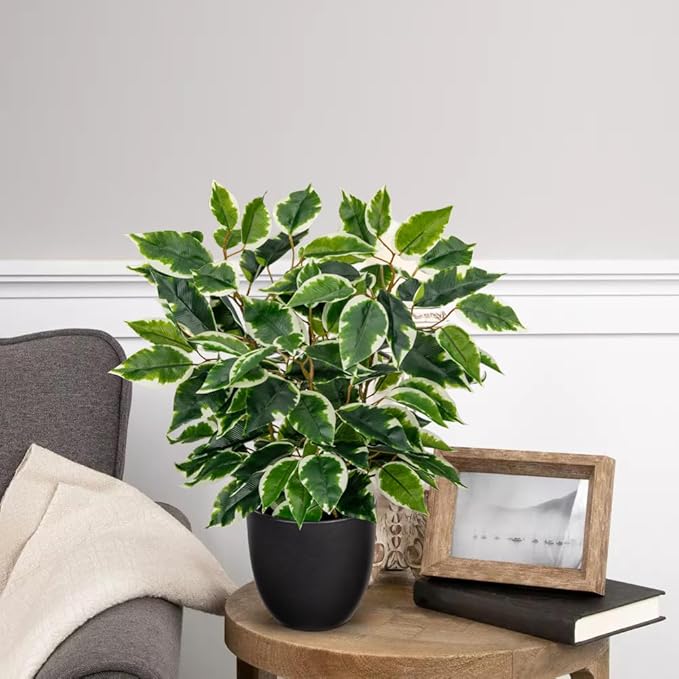 GnFlus Fake Plant 15.7” Artificial Plants Indoor Small Ficus Potted Plants Silk Plants Faux Topiary Plant for Home Bathroom Bedroom Dining Room Kitchen Window Shelf Desk Centerpieces Tabletop Decor