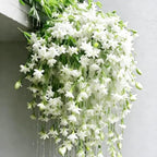100+ Climbing Jasmine Flower Seeds for Planting-Non-GMO Jasmine Gardenia Plant Fragrant Flower Garden Home