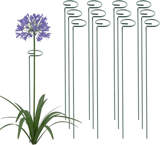 Thealyn 36 Inch 20 Packs Plant Support Stake Garden Single stemmed Plant Support Hoops Plant Prop for Flowers Orchid Tomatoes Peony Lily Rose Gladiolus (36 inch)