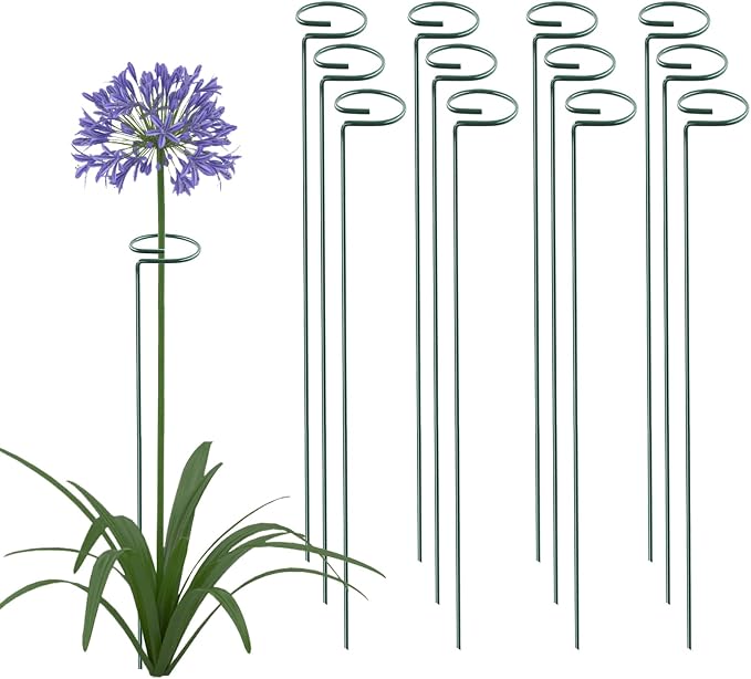 Thealyn 36 Inch 12 Packs Plant Support Stakes,Garden Single stemmed Plant Support Hoops, Plant Prop, for Flowers,Orchid, Tomatoes Peony Lily Rose (36 inch)