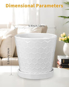 EFISPSS Ceramic Plant Pots, 6 Inch Pots for Indoor Plants, Planters with Drainage Hole and Saucer, Flower Pots Desktop Office Windowsill Decoration Gift Set of 2 - White