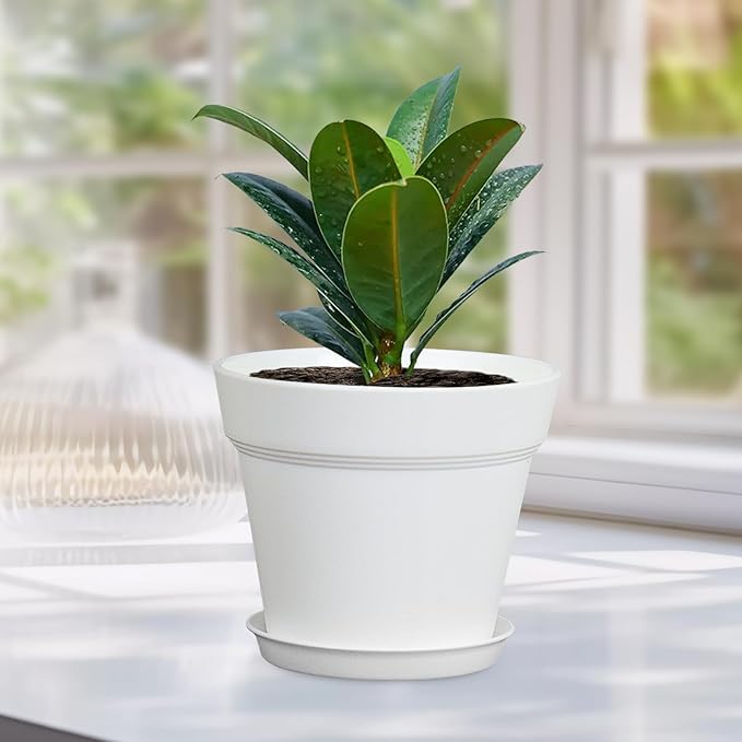 Meowell 6 inch Plastic Nursery Pots, 16 Pack Plant Pots for Indoor Outdoor Plants, Flower Pots with Drainage Holes and Saucers, Decorative Seedling Starter Planters for House Plants, White