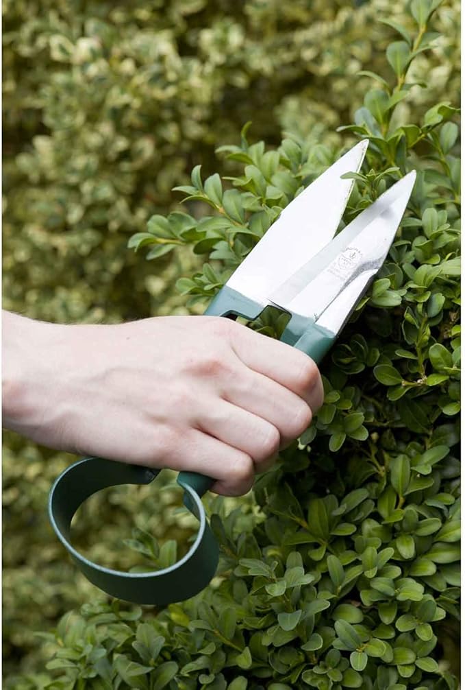 Burgon & Ball GTS/CGGA RHS Topiary Trimming Shears - Large