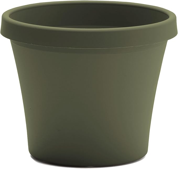 Bloem Terra 10" Diameter Round Living Green Resin Planter Pot with Drainage Holes for Indoor and Outdoor Gardening