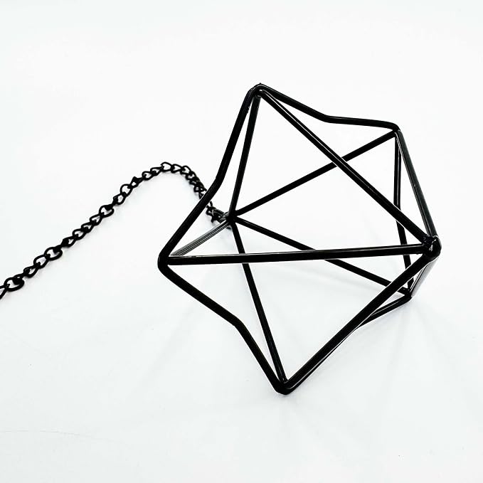 6 Pack Hanging Metal Air Plant Holders with Chain, Black Geometric Tillandsia Air Plant Hanger Cages, 2 Styles Mini Iron Air Plants Live Holders for Home Office Garden Decor
