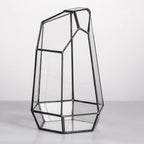 NCYP Small No Door Glass Geometric Terrarium - 4.9 x 3.9 x 7.4 Inches Irregular Clear Terrarium Pot for Mini Succulents, Small Cactus, Indoor Garden Tabletop Decoration (No Plants)