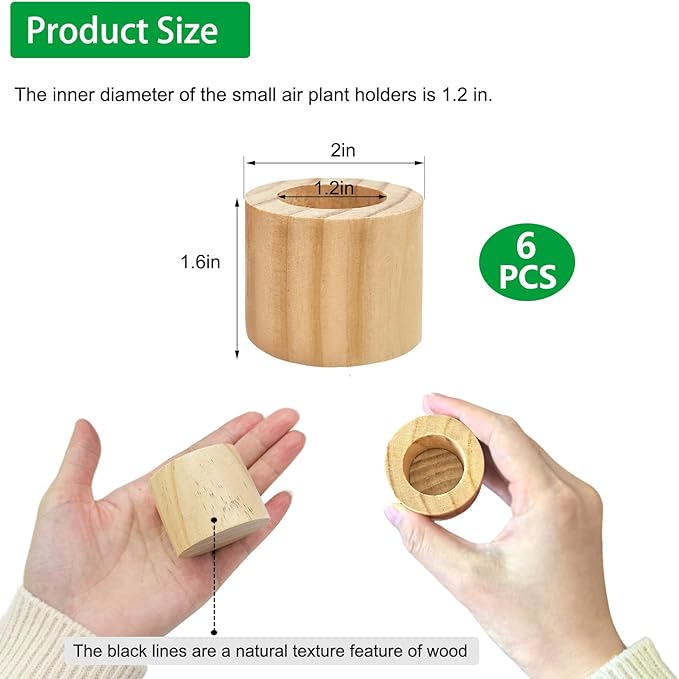 Belit 6 Pcs Air Plant Holder, Small Wooden Air Plants Live Holders for Home Decor (NO Plant Included)