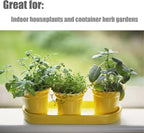 Doter Organic Potting Soil Mix 10qt for All Indoor & Outdoor Small Containers Including Herbs, Vegetables, and Flowers