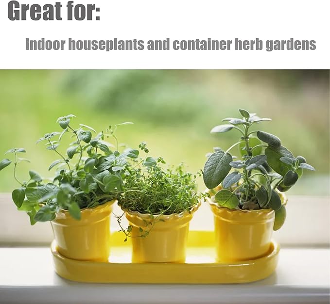Doter Organic Potting Soil Mix for All Indoor & Outdoor Small Containers Including Herbs, Vegetables, and Flowers 2 qt