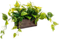 MyGift Vibrant Lifelike Artificial Plant Pothos Leafy Vine Greenery in Burnt Brown Solid Wood Rectangular Planter Box