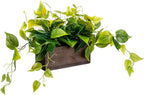 MyGift Vibrant Lifelike Artificial Plant Pothos Leafy Vine Greenery in Burnt Brown Solid Wood Rectangular Planter Box