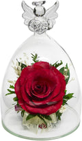 Fiora Flower | Long Lasting Real Roses in a Sealed Vase | Lasts up to 5 Years | Unique Present Gift