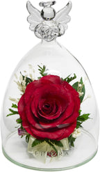 Fiora Flower | Long Lasting Real Roses in a Sealed Vase | Lasts up to 5 Years | Unique Present Gift