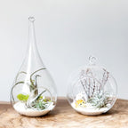 Mkono 2 Pack Glass Hanging Planter Air Fern Holder Terrarium Plants Hanger Vase Home Christmas Decoration Gift Idea for Succulent Moss Tillandsias Air Plants, Globe and Teardrop