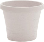 Bloem Terra 8" Diameter Round Vanilla Bean Resin Planter Pot with Drainage Holes for Indoor and Outdoor Gardening
