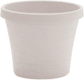 Bloem Terra 6" Diameter Round Vanilla Bean Resin Planter Pot with Drainage Holes for Indoor and Outdoor Gardening