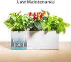 LeGrow Smart Garden Indoor Planter Starter Kit - 3 Patented Design Plant Pots,1 Water Holding Base Tray - (Plants Not Included)