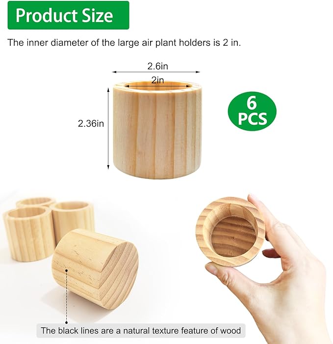 Belit 6 Pcs Air Plant Holder, Large Wooden Air Plants Live Holders for Home Decor (NO Plant Included)