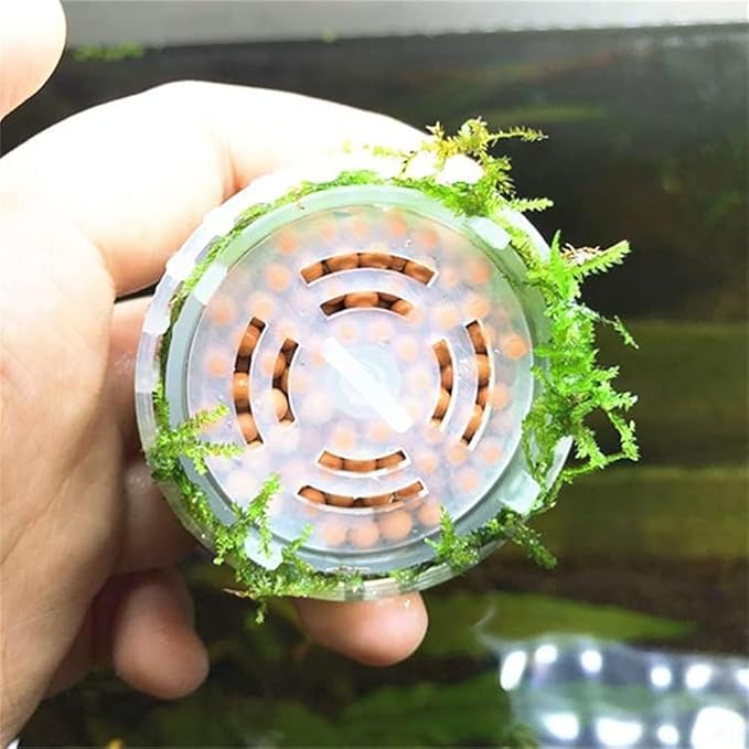 4 Pack Aquarium Moss Ball Shape Holder, Fish Tank Moss Ball Live Plants Shaping Filter Planter, Exotic Moss Accessory Decor Ornaments for Aquarium Shrimp Betta Fish Tank