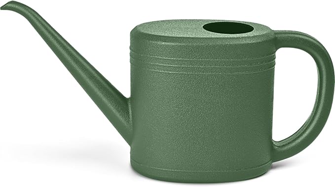 Watering Can for Garden Indoor Plants Outdoor Plant House Flower - 1/4 Gallon - Green