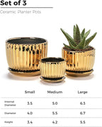 Ton Sin Gold Plant Pots,4.1+5.1+6.5 Inch Ceramic Succulent Planters Set of 3 Mini Indoor Flower Pot with Drainage,Handmade Decorative Ceramic Orchid and Herb Pots(Gold)