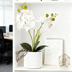 Jusdreen Artificial White Orchid in Ceramic Pot, Realistic Phalaenopsis Arrangement with Potting for Home Office Table Decor, 14.5 Inch Flower Centerpiece