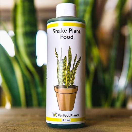 Perfect Plants Liquid Snake Plant Fertilizer | 8oz. of Premium Concentrated Sansevieria Food | Use with Mother-in-Laws Tongue and Other Varieties