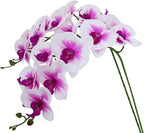 Htmeing 38 Inch Artificial Phalaenopsis Flowers Branches Real Touch (Not Silk) Orchids Flowers for Home Office Wedding Decoration,Pack of 2 (White Pink)