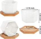 Foraineam 10 Pack Mini Succulent Plant Pots, 2.76 inch Hexagonal White Ceramic Succulent Cactus Planters with Bamboo Tray