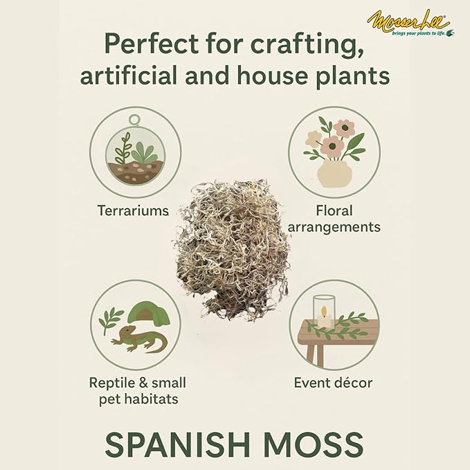 Mosser Lee Spanish Moss – Natural Decorative Moss for Houseplants, Soil Cover, Crafts, Terrariums & Floral Arrangements - 400 Cubic Inches (Approx 9oz)