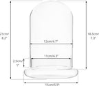 NCYP Glass Cloche Dome with Air Hole and Base, 5.9 x 5.9 x 8.2 Inches, Clear Terrarium Planter for Venus Flytrap, Small Plants, Home Indoor Tabletop Decoration (No Plants)