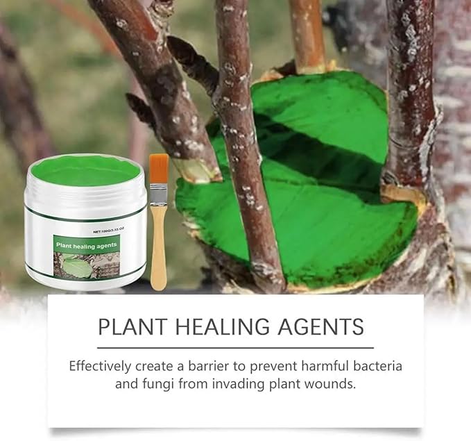 100g pruning sealer,tree wound dressing,Tree Wound Pruning Sealer,grafting wax,TreeSealer After Cutting, TreeBark Repair (3pcs)