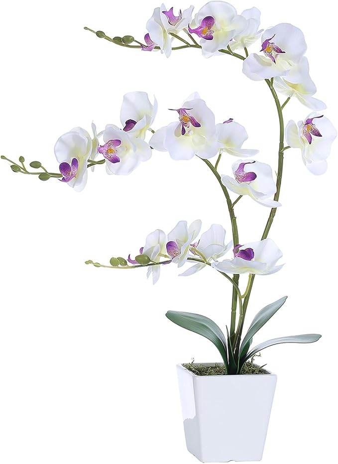 Faux Orchid in Vase Tall Artificial Orchid in Ceramic Vase Tall Silk Orchids with Stems Real Look Potted Fake Phalaenopsis Arrangement Centerpiece Table Decorations for Home Decor Indoor, White