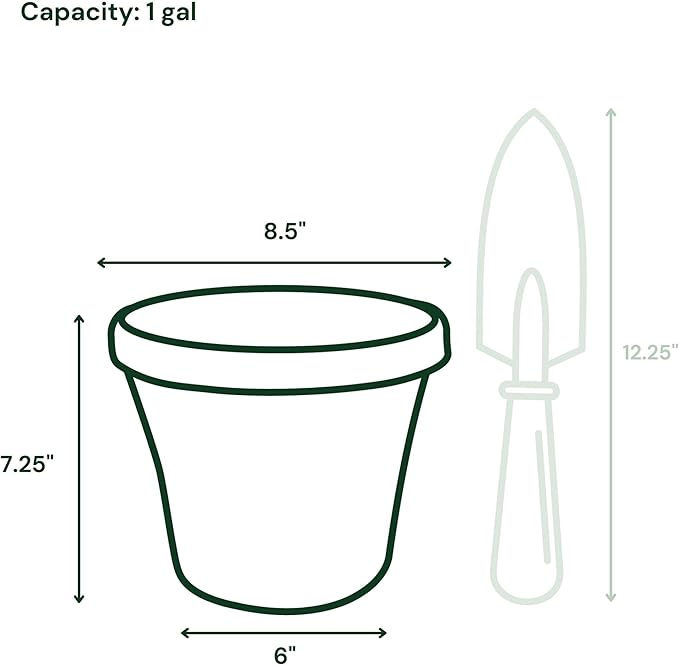 Bloem Terra 8" Diameter Round Vanilla Bean Resin Planter Pot with Drainage Holes for Indoor and Outdoor Gardening
