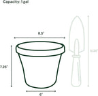 Bloem Terra 8" Diameter Round Vanilla Bean Resin Planter Pot with Drainage Holes for Indoor and Outdoor Gardening