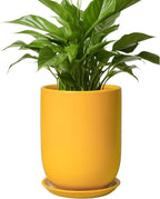 Plant Pot 8 Inch - Ceramic Plant Pot with Drainage Hole and Saucer Large Planter for Indoor Plants Outdoor Modern Flower Pot for Home Garden Decor Yellow